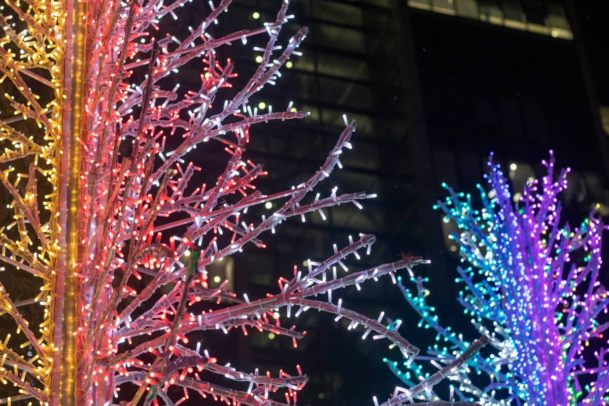 Colorful holiday lights on trees at night — a professional christmas lighting display in a residential neighborhood